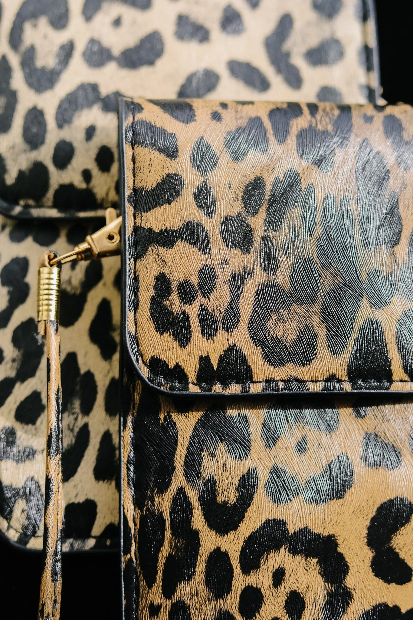 Crossbody Spotted Cellphone Pouch In Brown